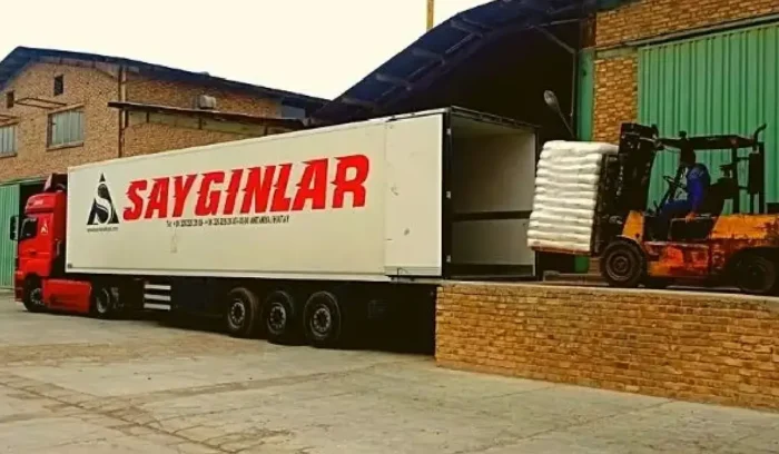 Almanya Denizyolu Nakliye